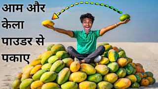 आम और केला कैसे पकाए  Artificial ripening of fruits  Science Hacker [upl. by Basso]