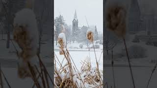 Winter at UMass [upl. by Annetta]