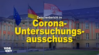 Zwischenbericht im CoronaUntersuchungsausschuss – Lars Hünich „Politische Pandemie untersucht“ [upl. by Codie]