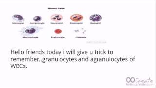 Trick to remember WBCs granulocytes and agranulocytes For neet [upl. by Jolee]