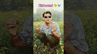 bird sound 🐤🐦 Hussain7Star viral shorts trending funny comedy shortvideos shortsfeed [upl. by Claybourne]