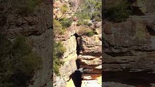 Devils Hole  Blue Mountains  nadodikathaigal  Tamil  Travel  Australia  shorts [upl. by Esertap]