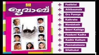 Malayalam Mappila Songs  Old Mappila Songs Malabarinte Mappila Seelukal Seenath  Audio Jukebox [upl. by Ahsilrak587]