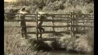 Video Butteri dAlta Maremma parte 1wmv [upl. by Fassold884]