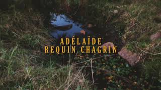 Adélaïde  Requin Chagrin francésespañol [upl. by Renat]