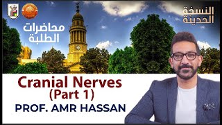 Cranial Nerves Part 1 أد عمرو حسن الحسني أستاذ المخ و الأعصاب [upl. by Ilrahs581]