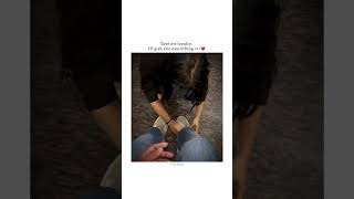 Instagram story video 💫 Sanware song 💗🦋 Couple love video  Someones special status 420k [upl. by Bowlds182]