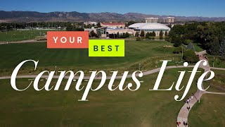 Discover Your Perfect Living Option at CSU  Colorado State University Residence Halls [upl. by Eisnyl]