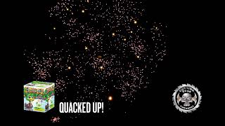 Quacked Up  200g MultiShot Cake  Cutting Edge Fireworks [upl. by Tsirhc24]