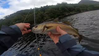 Sea fishing tour of Scotland Part one [upl. by Shirberg]