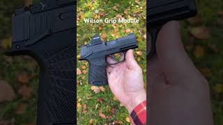 Perfect Everyday Carry Sig P365 9mm  Holosun 407k  Wilson Grip Module [upl. by Jillayne]