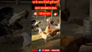 Ghar pe murgi palan  Desi Murgi palan  how to start deshi chicken farm  shortsfeed chicken yt [upl. by Adelle777]