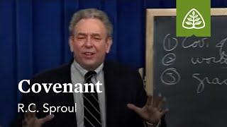 Covenant What is Reformed Theology with RC Sproul [upl. by Kaehpos254]