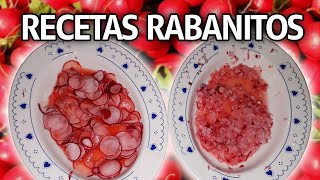 RECETAS DE RABANITOS O RÁBANOS  ENSALADAS  ERICA YT [upl. by Delmore155]