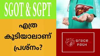 Are all SGOT  SGPT levels above normal range dangerous Malayalam [upl. by Jonie]