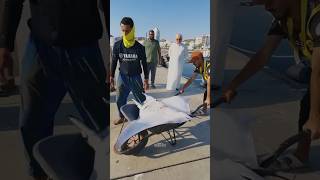 Devil fish in Muttrah market Oman 🇴🇲❤️ 🐟shorts youtubeshorts [upl. by Aldon]