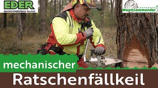 Sicheres Fällen mit mechanischem Ratschenfällkeil [upl. by Dulla]