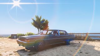 GTA 5 Next Level Graphics Realism Mod And Realistic Vegetation gameplay [upl. by Anertac]