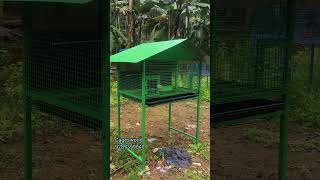 Budget friendly bird cage cagesworld hitechpetslovebirdsfinchlover cagecocktail [upl. by Harms]