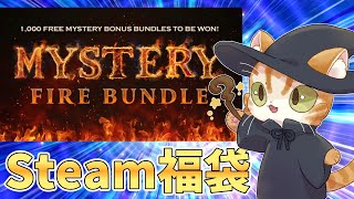 【Steam福袋】Fanatical Mystery Fire Bundleを10本開封だ [upl. by Nonad]