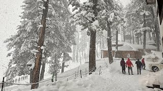 Kashmir Memories  Year 2024  February  Snowfall  Gulmarg  Sonmarg  Drung waterfall  ATV ride [upl. by Olatha680]