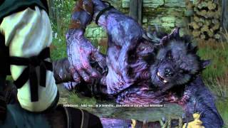 The witcher 3  Loup y estu   Morkvarg [upl. by Neliak]