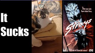 Strays 1991 Movie Review [upl. by Pengelly]