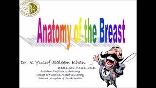 Anatomy of the BREAST  MAMMARY GLAND  Dr Yusuf [upl. by Nnednarb]