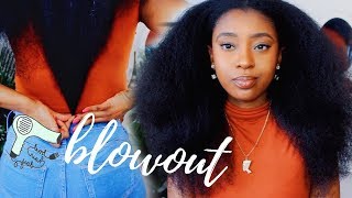 Quick amp Easy BlowOut on Natural Hair  Philips ProCare Airstyler Review [upl. by Hugon]