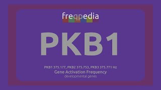 PKB1 cell growth Gene Activation Frequency [upl. by Allx284]