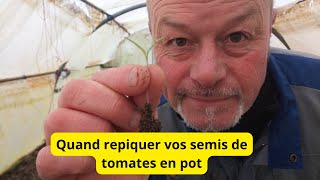 Quand repiquer vos semis de tomates [upl. by Kulseth]