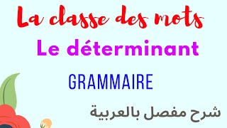 Français  grammaire La classe des mots  les déterminants [upl. by Ardnasirk]