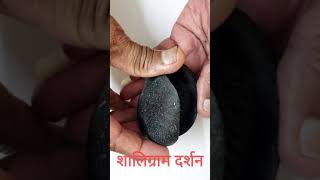 Original Shaligram Darshan  असली शालिग्राम दर्शन करें Shorts [upl. by Walcott928]