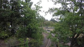 Washington Park and Zoo Railway video 4 4k [upl. by Yevreh]