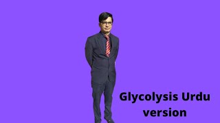 Glycolysis in Urdu [upl. by Sydalg]