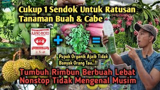 Cukup 1 Sendok Untuk Ratusan Tanaman Buah Tumbuh Subur Rimbun Berbuah Lebat Nonstop‼️ [upl. by Germaun]