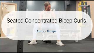 Seated Concentrated Bicep Curls  Arms  Biceps [upl. by Yursa]