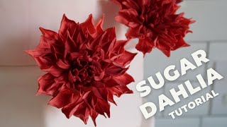 Gum Paste Dahlia  Tutorial [upl. by Mahsih501]