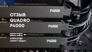 Отзыв об эксплуатации Quadro P4000  Профессиональная видеокарта nVidia Quadro P4000 [upl. by Nahraf347]