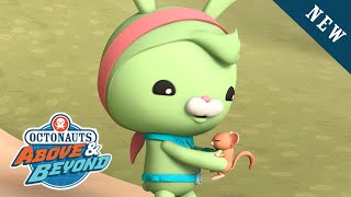 Octonauts Above amp Beyond  The Sleepwalking Dormice  NEW Adventures  Kidzuko [upl. by Aseen679]