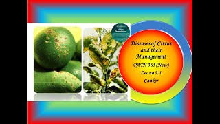 32 PATH 365 New Lec no 91 to 96 Citrus CankerGummosisDodderTristezaScabGreening [upl. by Aratak]