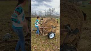 Bale unroller build welding welder metalwork cows horses feeding hay grass reels fyp diy [upl. by Leonardi85]