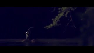 Brooke Waggoner  Ovenbird Official Music Video [upl. by Main]