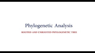 Rooted amp Unrooted Phylogenetic Trees [upl. by Nawek328]