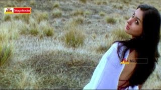 Brahma oh Brahma Enta Mudduga Undi Gumma  Gemini Telugu Movie Songs  VenkateshNamitha [upl. by Ellon]