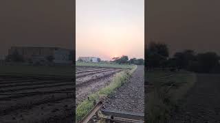 agriculture India youtubeshorts automobile viralvideo agriculuture subscribe farmer farming [upl. by Matejka]