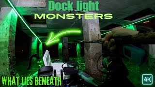 MANGROVE SNAPPER Kayak Fishing Dock Lights [upl. by Vedis]