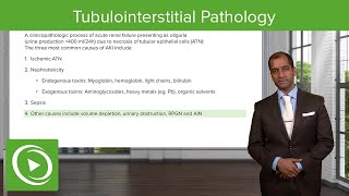 Tubulointerstitial Pathology – NephrologyFoundations  Lecturio [upl. by Tirzah]