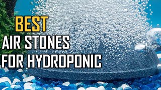 Top 5 Best Air Stones for Hydroponics Review  Homemade Air Stone for Hydroponics 2023 [upl. by Jehovah919]