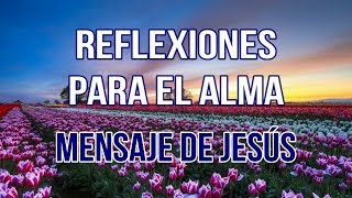 REFLEXIONES PARA EL ALMA  MENSAJE DE JESÚS [upl. by Fagaly]